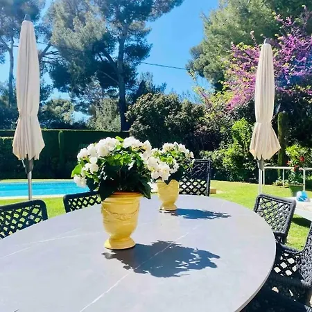 Les Palmiers Au Cap D Villa