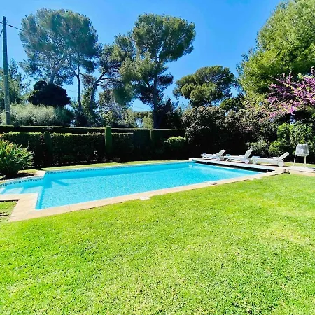 Les Palmiers Au Cap D Villa